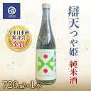 【ふるさと納税】辯天 つや姫 純米酒 金賞受賞酒 四合瓶 720ml F20B-587