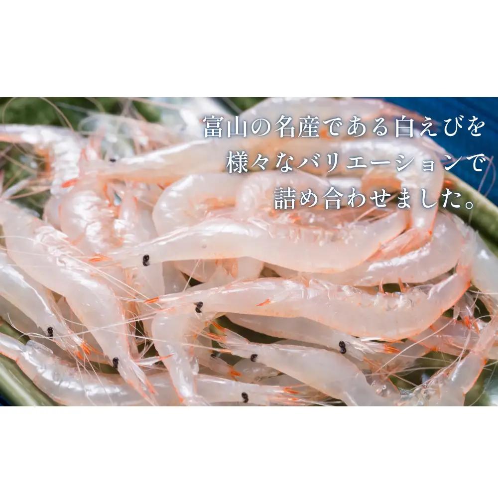 白えび三昧 白エビ 海老 殻つき むき身 昆布締め 刺身 富山県 氷見市