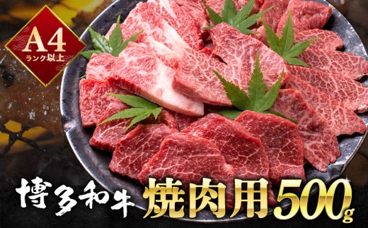 【和牛の焼肉セット！】博多和牛 焼肉用 500g 牛肉 肉  焼肉 国産 黒毛和牛