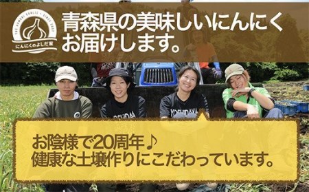 青森県産「にんにく・福地ホワイト種」　大サイズ・800g【2023年産】