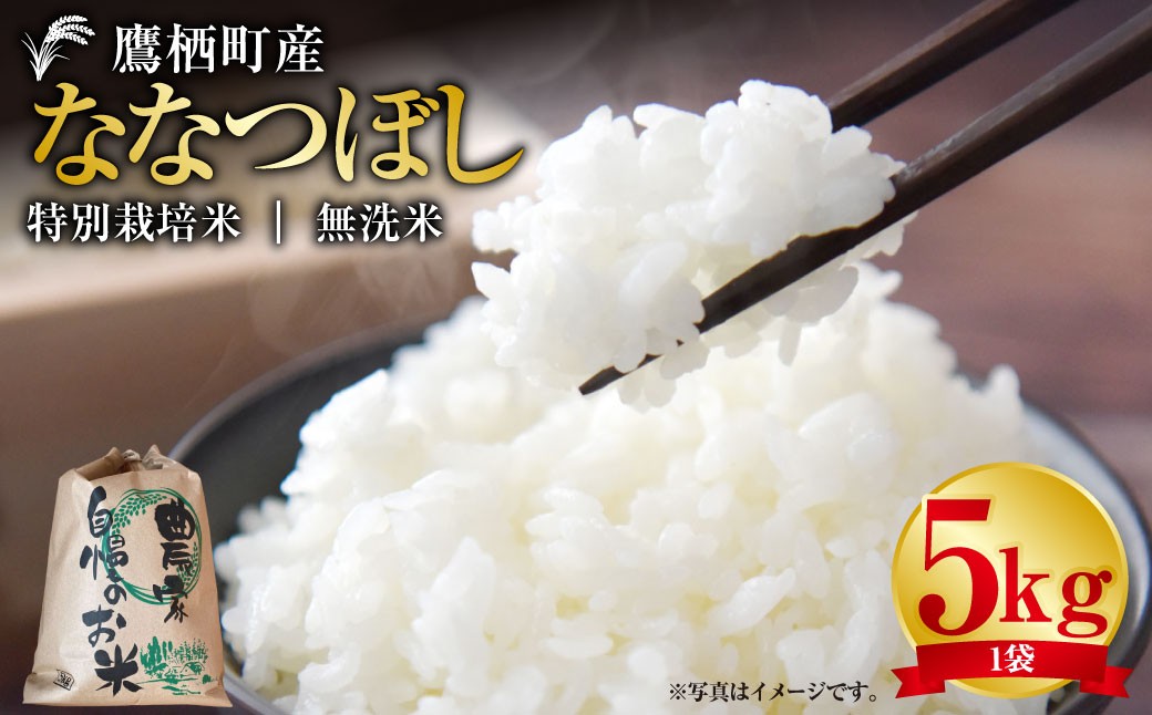 
                  【令和7年産】 ななつぼし （ 無洗米 ） 5kg 北海道 鷹栖町 たかすタロファーム 米 コメ こめ ご飯 お米
                