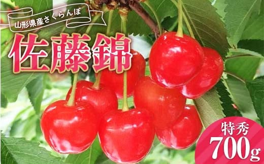 《2026年産先行受付》山形県産さくらんぼ【佐藤錦 特秀品】700g Lサイズ以上 FSY-0014