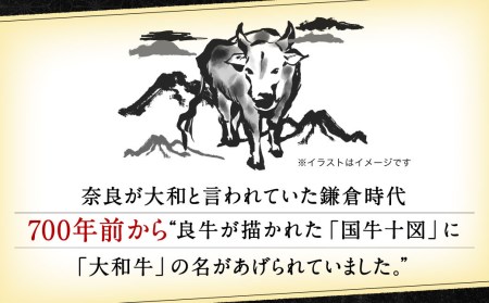 ブランド牛肉 大和牛ローススライス（スライス、焼肉用各400g） 牛肉 肉 高級牛肉 肉 特選和牛 特撰焼肉 牛肉 肉 上質霜降り ロース 肉 国産牛肉 焼き肉 牛肉 黒毛和牛 肉 焼肉 肉 牛肉 和