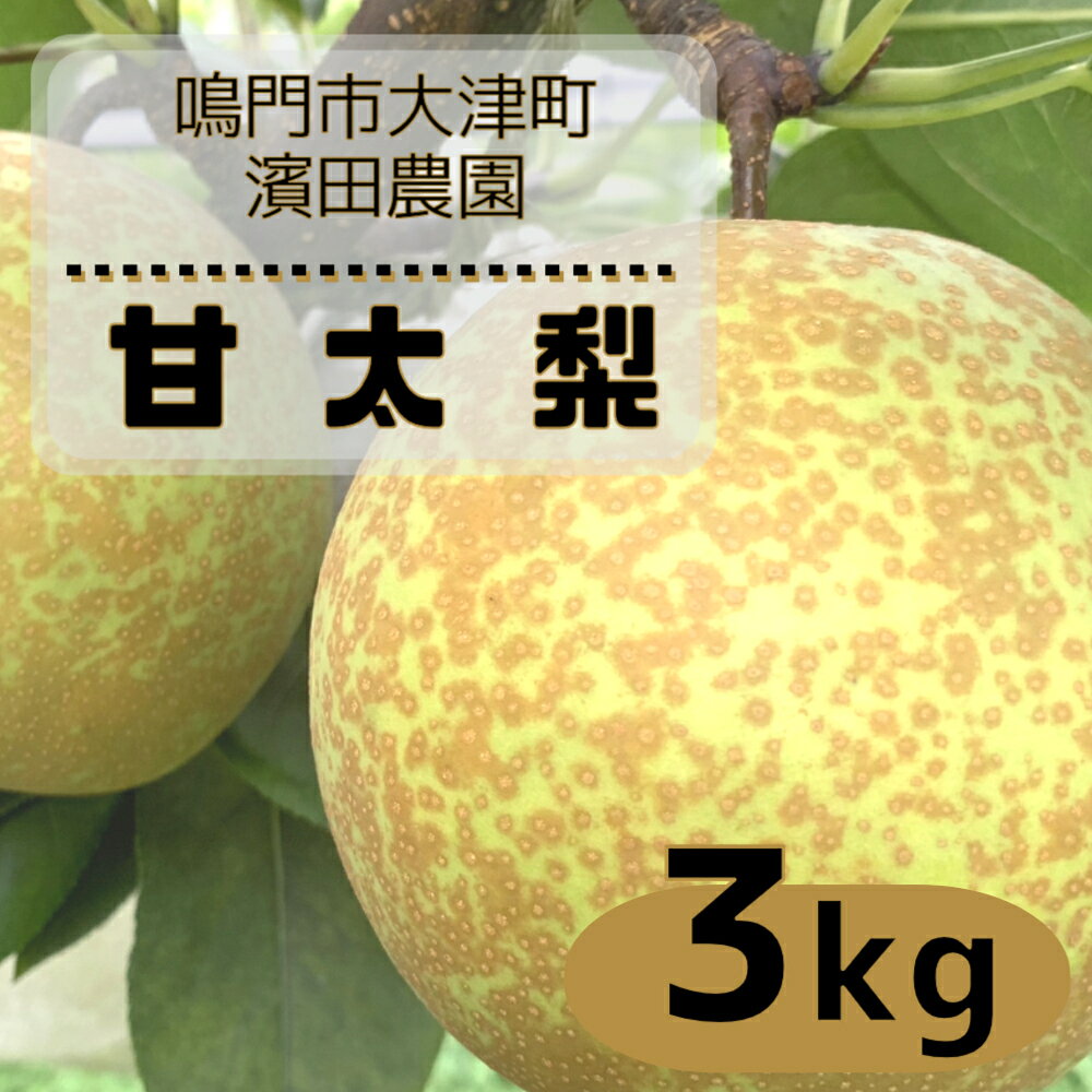 【ふるさと納税】【予約受付中・10月上旬～中旬より順次発送】濱田農園 甘太梨 約3kg 【数量限定】 徳島県産 感動の甘さ 和梨 豊水 幸水 国産 鳴門