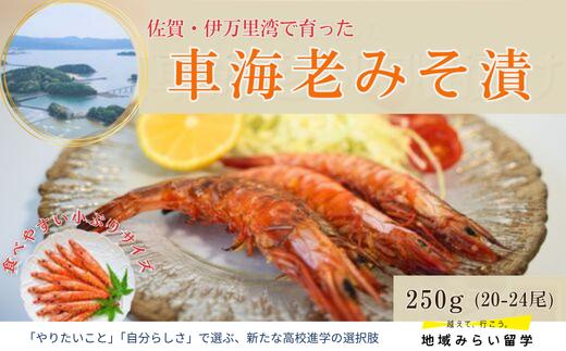 
                  【佐賀県伊万里産｜車海老みそ漬】海老250g/みそ200g
                