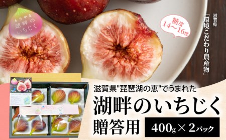 湖畔のいちじく贈答用　2パック　果物 フルーツ 
