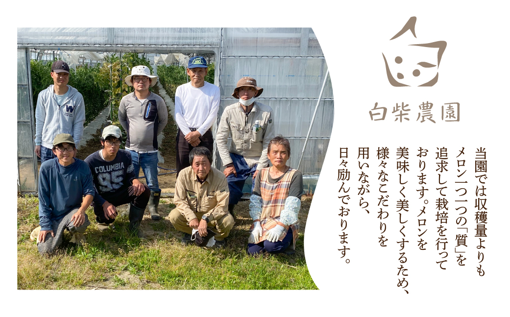 ≪先行予約≫温室マスクメロン 2玉【贈答】めろん メロン マスクメロン 果物 フルーツ デザート 旬 旬の果物 高糖度 糖度 愛知県 豊橋市