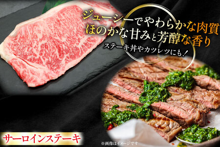 牛肉 宮崎牛 サーロイン ステーキ 200g 3枚 計600g