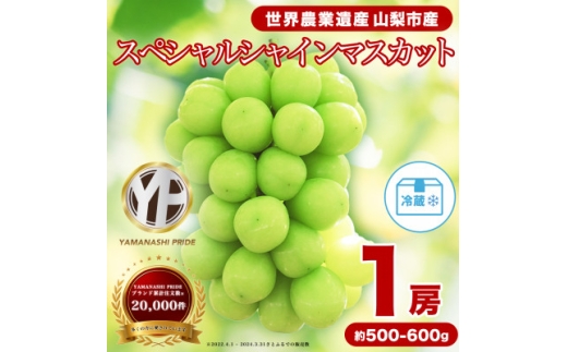 2027年(来年)発送先行受付 フルーツ王国 山梨産 シャインマスカット 1房(約500-600g)【1501766】