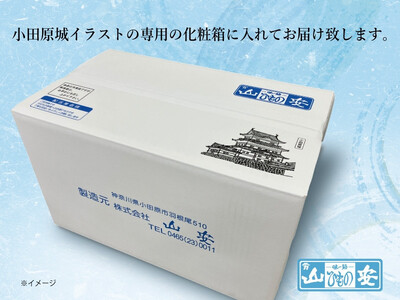 【小田原　山安】おまかせ干物セット　約３ｋｇ【 干物 神奈川県 小田原市 】