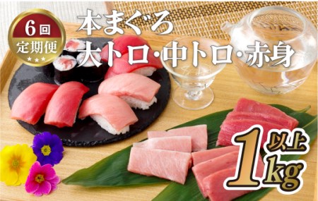 本マグロ【6回定期便】長崎県産 本まぐろ 3種セット  ( 大トロ 中トロ 赤身 ) 総計1kg以上【本家永松屋】