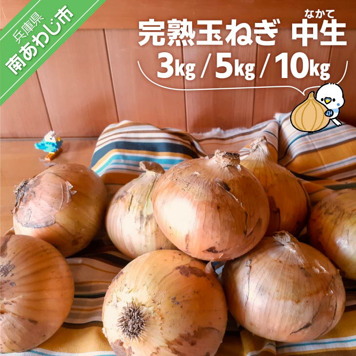 【ふるさと納税】完熟玉ねぎ 中生【3kg・5kg・10kg】