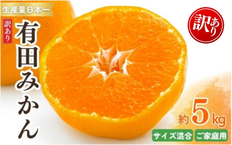 
            紀州有田みかん 訳あり 約5kg キズ ご家庭用 サイズ混合　※2025年11月下旬～2026年1月中旬頃より順次発送予定　※北海道・沖縄・離島配送不可 | みかん ミカン 蜜柑 フルーツ 果物 くだもの 訳ありみかん 家庭用 旬 産地直送 予約【sml130A】
          