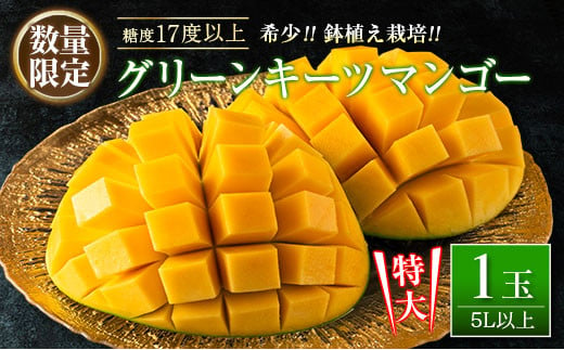 
数量限定 超希少 グリーンキーツマンゴー 鉢植え栽培 5L以上×1玉 フルーツ 果物 国産 食品 デザート マンゴー 産地直送 送料無料_DB21-23
