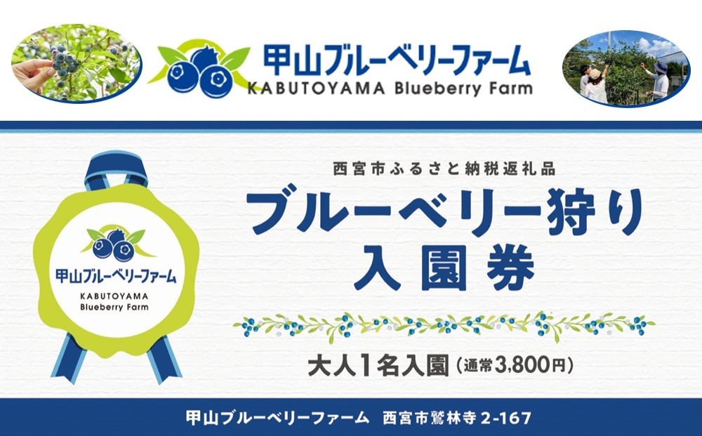 
                  甲山ブルーベリーファーム ブルーベリー狩り入園券（大人1名）
                