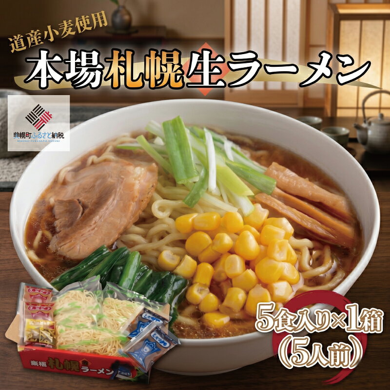 【ふるさと納税】 本場札幌生ラーメン5食入り×1箱(5人前) ふるさと納税 人気 おすすめ ランキング ラーメン らーめん 拉麺 生ラーメン 札幌ラーメン 本場 生麺北海道 美幌町