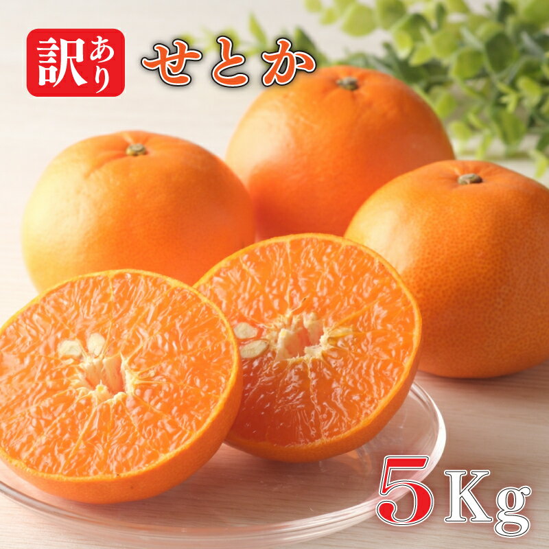 【ふるさと納税】 訳あり せとか 約5kg 柑橘 みかん 訳あり 愛媛県 松山市