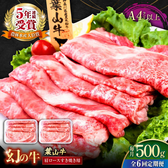 【ふるさと納税】【全6回定期便】葉山牛肩ロースすき焼き用 250g×2パック 計500g 国産牛 牛肉 切り落とし 高級和牛 冷凍 黒毛和牛 国産 和牛 肩ロース 赤身 希少品種 小分け すき焼き すきやき ぎゅうにく きりおとし 大容量 横須賀 お取り寄せ【株式会社羽根】[AKAG037]