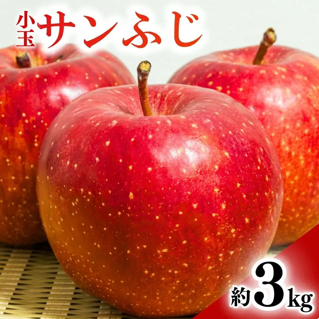 【2026年先行予約】りんご 小玉サンふじ 約3kg | りんご