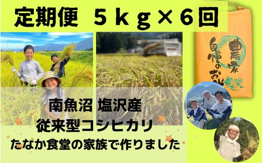 【令和8年産　新米】南魚沼塩沢産　従来型コシヒカリ　白米５ｋｇ×６回（定期便）【定期便 銘柄米 ブランド米 精米 こしひかり コシヒカリ 魚沼産 新潟米 産地直送 お米 米 こめ コメ ご飯 御飯 ごはん】【2026年10月下旬より順次発送予定】