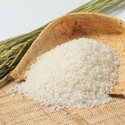 ふるさと納税 阿賀町 越後奥阿賀産はざがけ(天日干し)コシヒカリ |  | 01