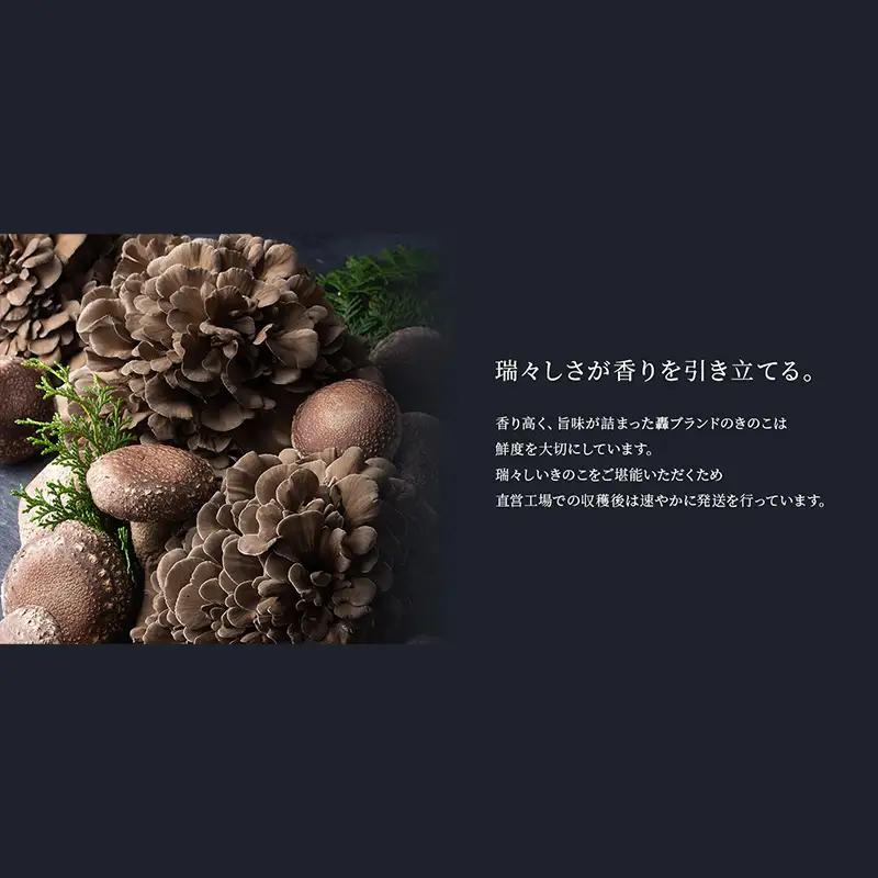 規格サイズにこだわらない轟まいたけ ほぐし 1kg きのこ キノコ 野菜 食品 F21E-531