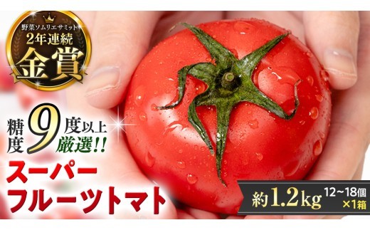 
                  《 2026年収穫分 先行予約 》 糖度9度以上 スーパーフルーツトマト 中箱 約1.2kg × 1箱 (12～18玉/1箱) フルーツトマト ブランドトマト 野菜 ギフト 贈答 [BC002sa]
                