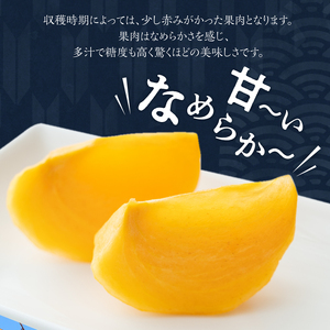 【10月発送】池尻農園　太秋柿　9玉～14玉　約3kg_柿 甘柿 太秋柿 9玉 ～ 14玉 約 3kg 種が少ない 池尻農園 シャキシャキとした食感 さっぱり 多汁 高い糖度 国産 フルーツ 果物 福