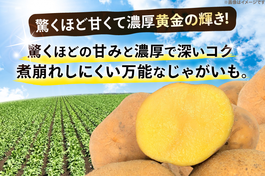 じゃがいも ながさき黄金 5kg [けんぶちVIVAマルシェ 北海道 剣淵町 14656386] ジャガイモ 芋 いも ポテト 野菜 秋野菜 秋 常備野菜 カレー シチュー ポテトサラダ