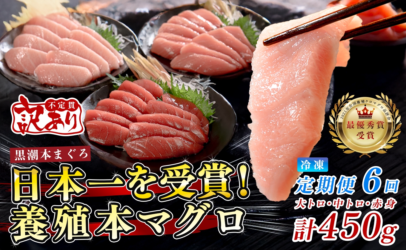 
                  訳あり 不定貫 定期便 6回 国産 養殖本マグロ 大トロ・中トロ・赤身 3種 毎回計450g×6回 黒潮本まぐろ 全国養殖クロマグロ品評会 最優秀賞受賞 6ヶ月 6か月 半年 柵 刺身用 本マグロ クロマグロ 本鮪 まぐろ 鮪 お刺身 さしみ 大トロ トロ 中トロ 赤身 海鮮丼 漬け丼 手巻き寿司 鉄火丼 まぐろ丼 小分け 個包装 真空パック 冷凍 不揃い 家庭用 海鮮 年末年始 12万円
                