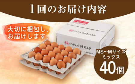 【全3回定期便】てつやとのりこの玉子 【 40個 】 糸島市 / 板垣ファーム 卵 たまご 鶏卵[AWD020]