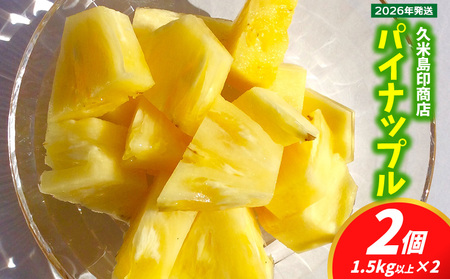 パイナップル【2026年発送】久米島印商店 パイナップル（ハワイ種Ｎ67-10）2個（1.5kg以上×2） パイン フルーツ 