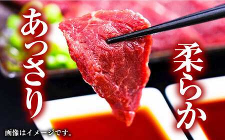馬刺し 2種 大トロ 中トロ 計600g 300g×2パック 熊本 馬刺し 冷凍 馬肉 馬刺し 熊本馬刺し 山都町 冷凍 馬肉 馬刺し ヘルシー馬刺し 絶品馬刺し 贅沢馬刺し 冷凍馬刺し 本場の馬刺し