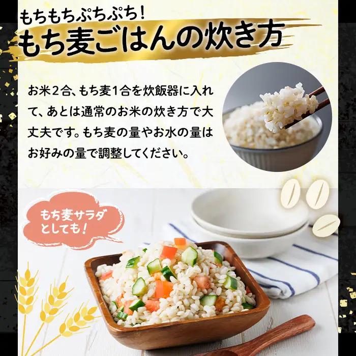＜定期便・総計6回＞大分県産もち麦 キラリモチ(総計9kg(1.5kg×6回))ダイエット 健康 業務用【212400200】【天峯ファーム】