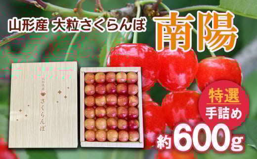 山形産 大粒さくらんぼ 南陽 特選 手詰め 約600g 【令和7年産先行予約】FS24-635くだもの 果物 フルーツ 山形 山形県 山形市 2025年産