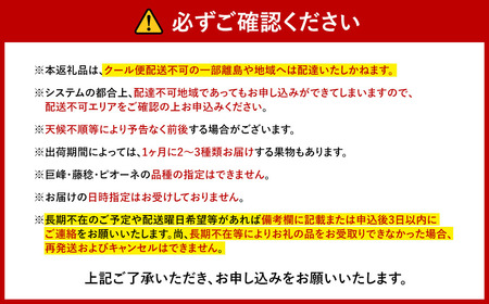 【先行受付】【6回 定期便】 フルーツ王国 山梨県産 6種セット [えべし 山梨県 中央市 21470734] フルーツ 果物 くだもの すもも もも 桃 梨 なし ぶどう シャインマスカット キウイ