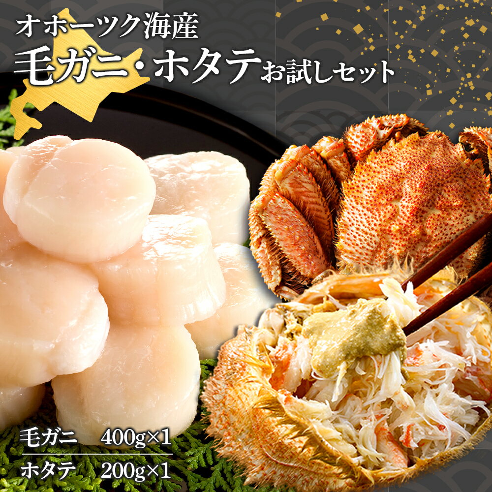 【ふるさと納税】ほたて 貝柱 毛蟹・ホタテのお試しセット 冷凍 おかず おつまみ 詰め合わせ北海道ホタテ ホタテ 刺身用 ほたて 帆立 冷凍 刺身 海鮮 食品 返礼品 北海道ふるさと納税 ふるさと納税 北海道 浜頓別 通販 贈答品 贈り物 おせち