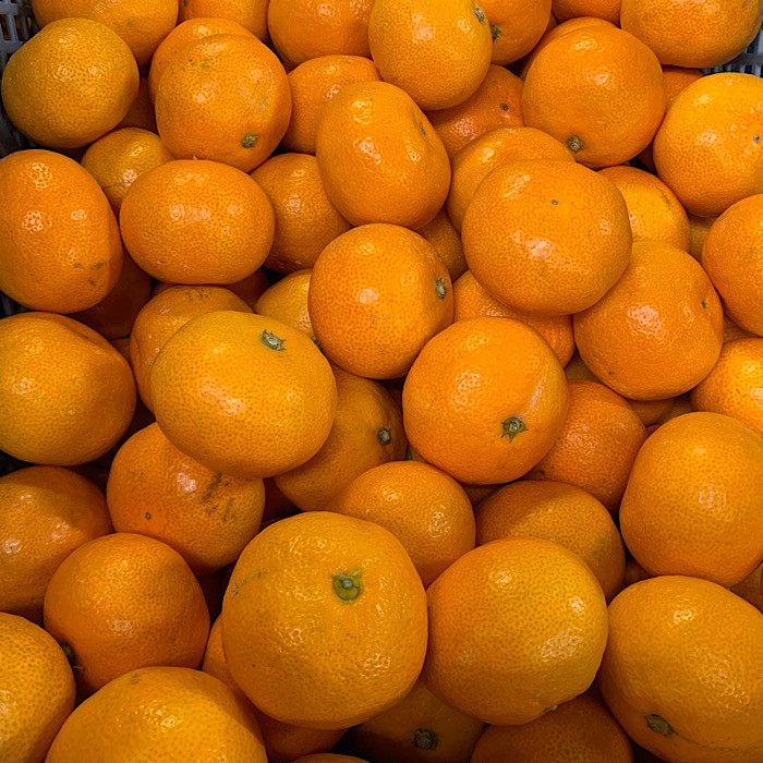 BL6173_【2025年先行予約】【産地直送】和歌山県産 有田みかん 小玉 5kg