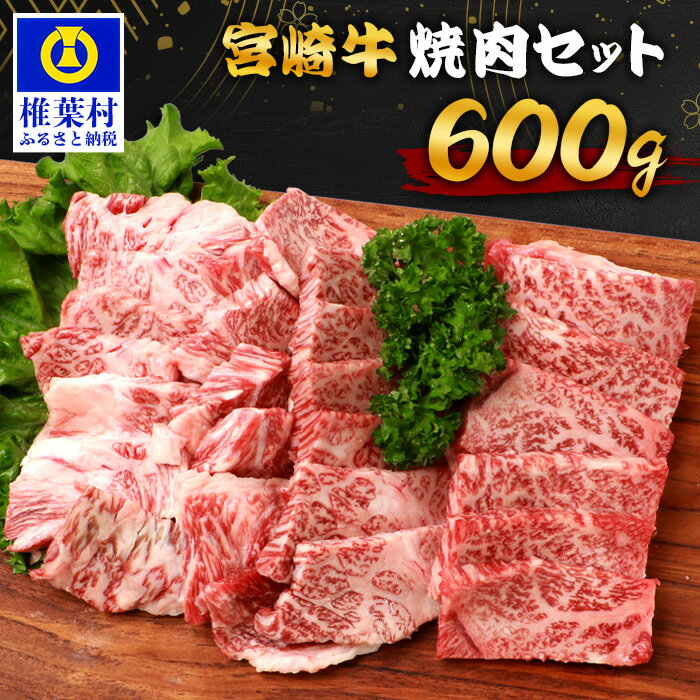 【ふるさと納税】宮崎牛 焼肉セット 600g ｜ 宮崎県 椎葉村 宮崎牛 和牛 黒毛和牛 牛肉 ぎゅうにく 牛 うし ぎゅう 肉 お肉 にく おにく 焼き肉 焼肉 やきにく 精肉 もも モモ肉 バラ バラ肉 600g 人気 おすすめ 送料無料 ｜ TK-97