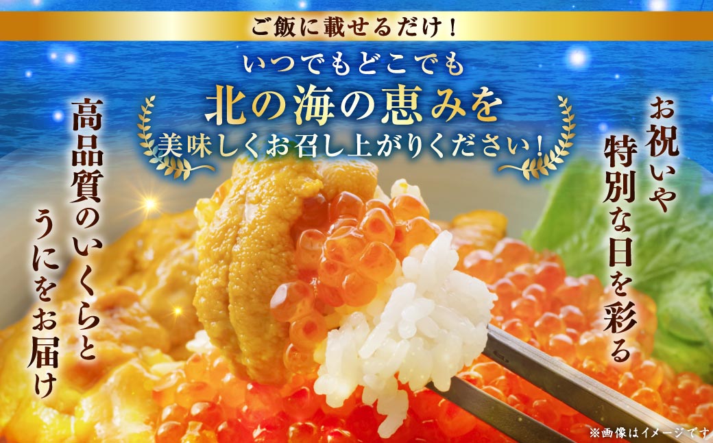 えぞバフンうに折60g×2 いくら醤油漬け90g×1 ふるさと納税 うに いくら F4F-8829