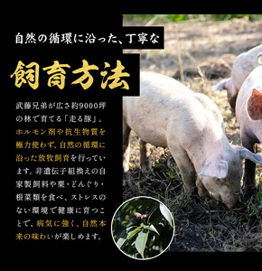 菊池やまあいの豚小間スライス 2kg《90日以内に出荷予定》(土日祝除く)》1パック200g 豚肉 豚小間 スライス済み 小分け 熊本県産 九州産 国産 冷凍 送料無料