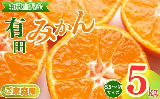 
            【ご家庭用】和歌山有田みかん約5kg(SS、S、Mサイズ)【美浜町】◇ ※北海道・沖縄・離島への配送不可 ※2024年10月中旬～2025年1月下旬頃に順次発送予定
          