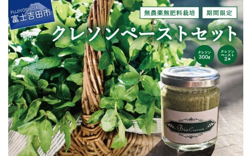 富士吉田市のクレソンペーストセット　クレソン 300g ペースト 2本セット 野菜 サラダ 食品添加物不使用 山梨 富士吉田