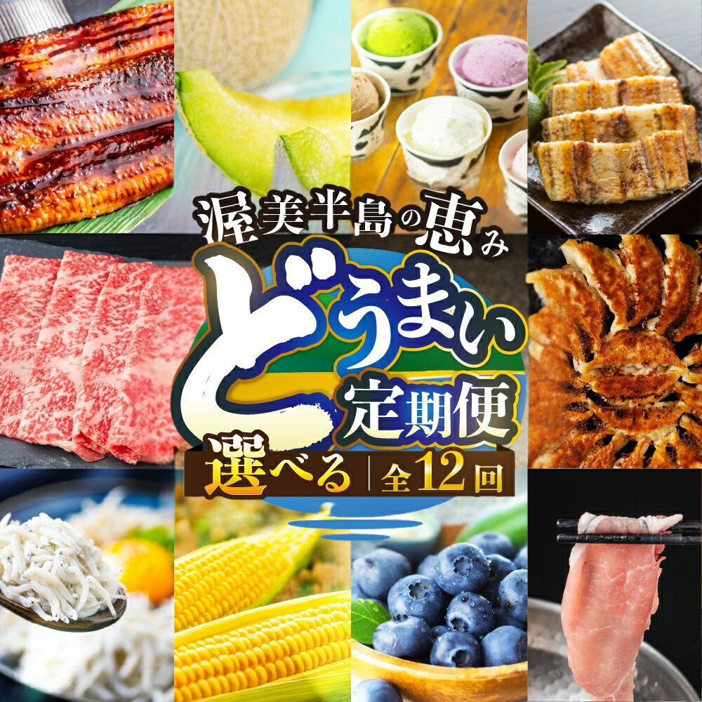 【ふるさと納税】渥美半島 どうまい 定期便 12回 ＼高評価★4.86／ おまかせ フルーツ 海鮮 果物 いちご みかん うなぎ 肉 豚肉 メロン しらす 餃子 ジェラート とうもろこし 焼き鳥 牛肉 蒲焼 12ヶ月 1年 鰻 野菜 高評価 人気 肉 魚 田原市 定期便 どうまい