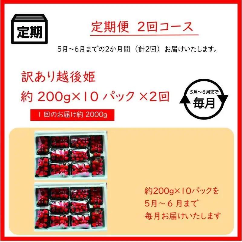 先行予約  定期便 2回【5～6月発送】訳あり越後姫 約200g×10定期配送 越後姫 えちごひめ 苺 いちご 訳あり 新潟 苺の花ことば