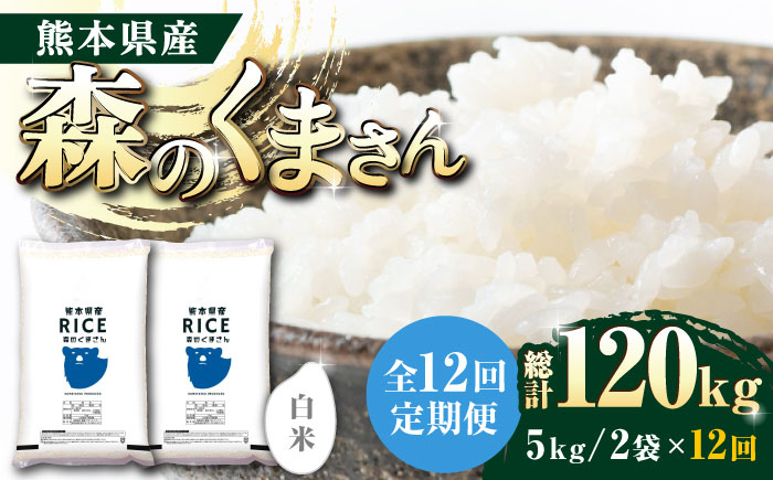 
【全12回定期便】 森のくまさん 白米 10kg(5kg×2袋)【有限会社 農産ベストパートナー】 定期便 10kg 白米 精米 森のくまさん 特産品 コメ 米 お米 熊本県 熊本県産 [ZBP081]
