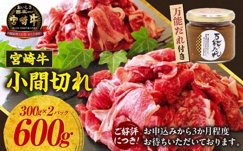 
            宮崎牛 小間切れ600g 万能だれ付き | 牛肉 お肉 肉 宮崎牛小間切れ 小間切れ肉 こま肉 牛こま 精肉 たれ セット 牛丼 肉じゃが 炒め物 お弁当 普段使い 使い勝手 冷凍 和牛 国産牛 ブランド牛 宮崎県産 全国和牛能力共進会 お取り寄せ 高千穂町 |_Tk024-011
          