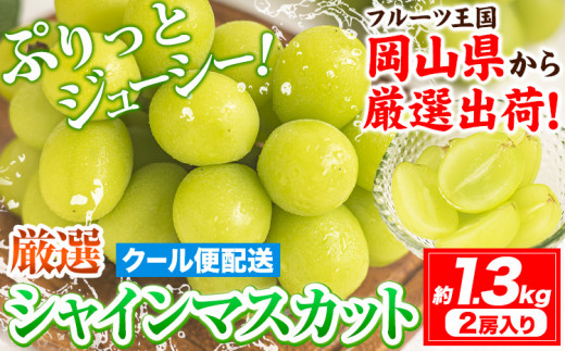 【先行予約】シャインマスカット (約1.3kg 2房) 《2025年9月上旬-11月中旬頃出荷》ぶどう ブドウ 葡萄 マスカット 果物 フルーツ ギフト 岡山県 笠岡市 フルーツ マスカット