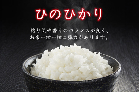 【令和7年産】ひのひかり 精米 5kg×2【2ヶ月定期便】(H061881)