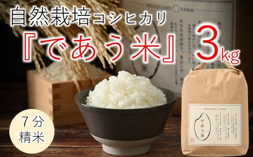 
            数量限定 米 3kg 令和7年産 新米 こしひかり 自然栽培 七分精米 栄養 豊富 お米 こめ おこめ ご飯 ごはん R7 2025年産 こだわり おいしい 美味しい であう米 石川県 能登 羽咋
          